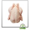 Freshly Frozen Whole Bird